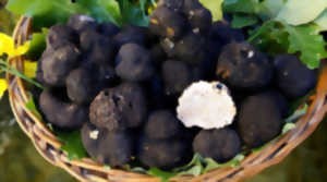 FÊTE DE LA TRUFFE